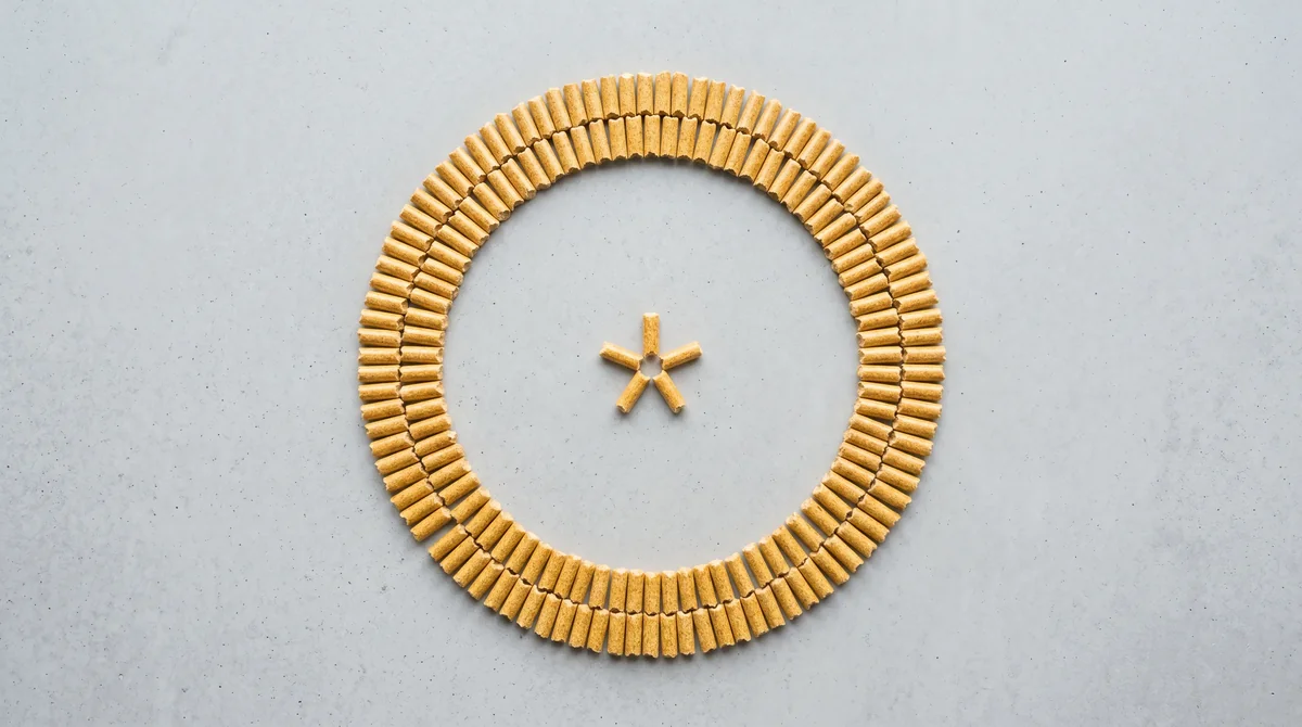 Pellet drzewny ENplus A1 ułożony w okrąg z kilkoma granulkami w centrum na jasnym betonie - flat-lay minimalistyczny